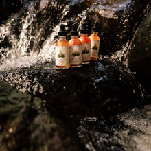 Load image into Gallery viewer, CBD Body Oil | 50MG