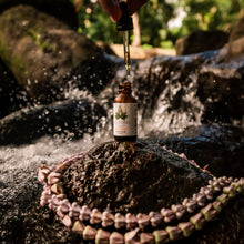 Load image into Gallery viewer, Organic CBD Oil | Full Spectrum | 1500MG