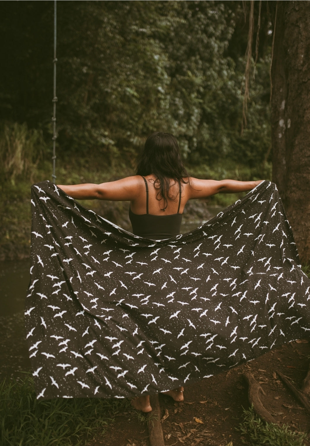 Pareo - Iwa Bird